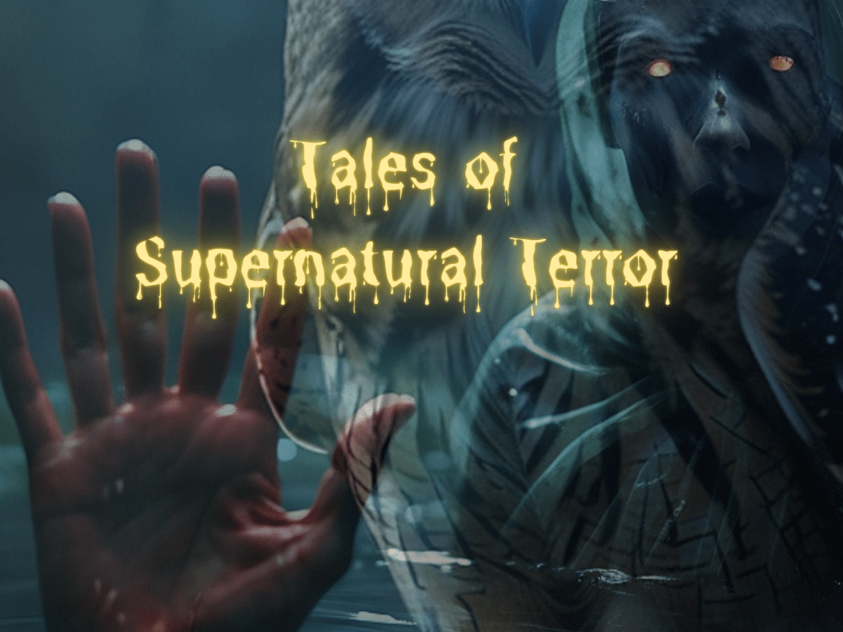 THE HAUNTED OWL and THE HAUNTED OWL RETURNS Released on&nbsp;AMAZON!!